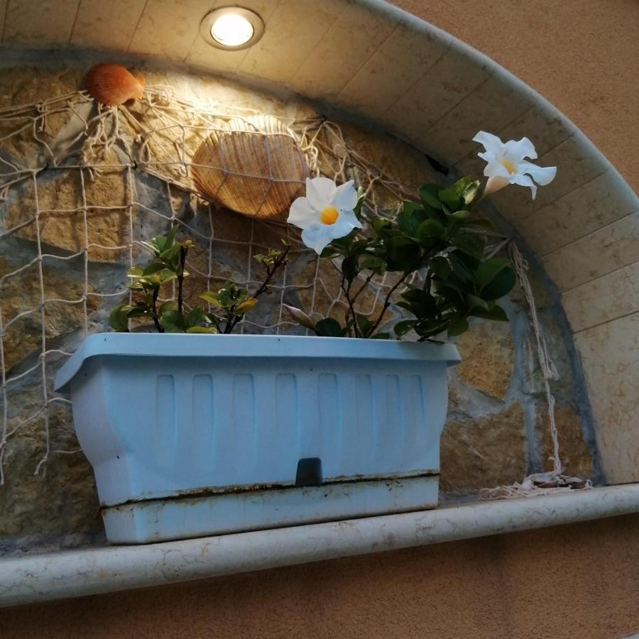 Ivana Home Trapani Extérieur photo